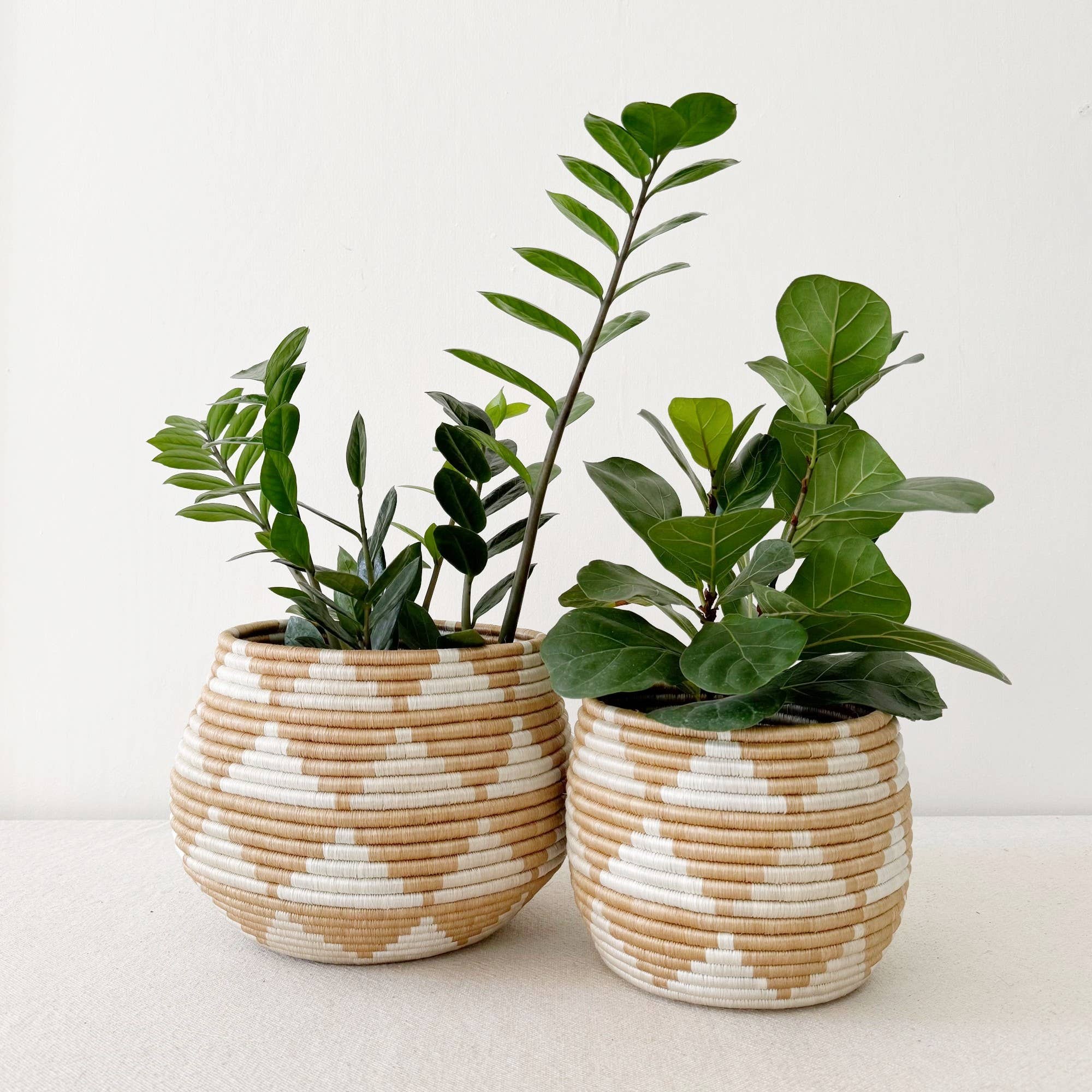 basket planters for indoor plants Amsha Akazi Honey Pot Basket – JONES + CO
