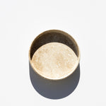 Small Will Dish - Oyster