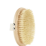 Dry Brush