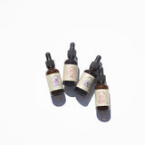 Assorted mushroom tinctures