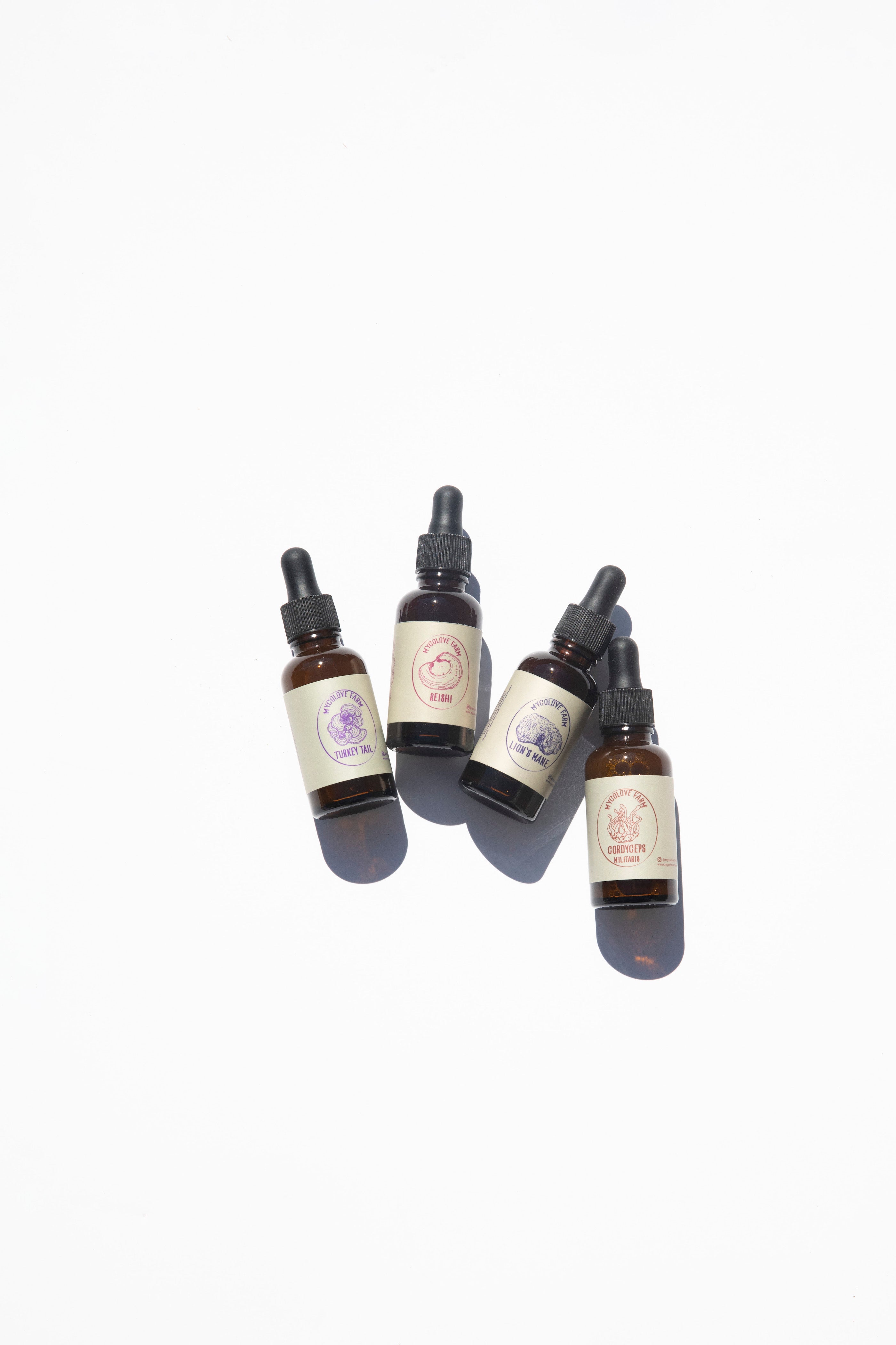 Various Mushroom Tinctures