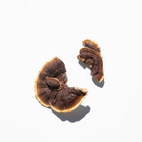 Reishi Mushrooms