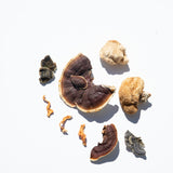 Turkey Tail Mushroom Tincture