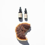 Reishi Mushroom Tincture