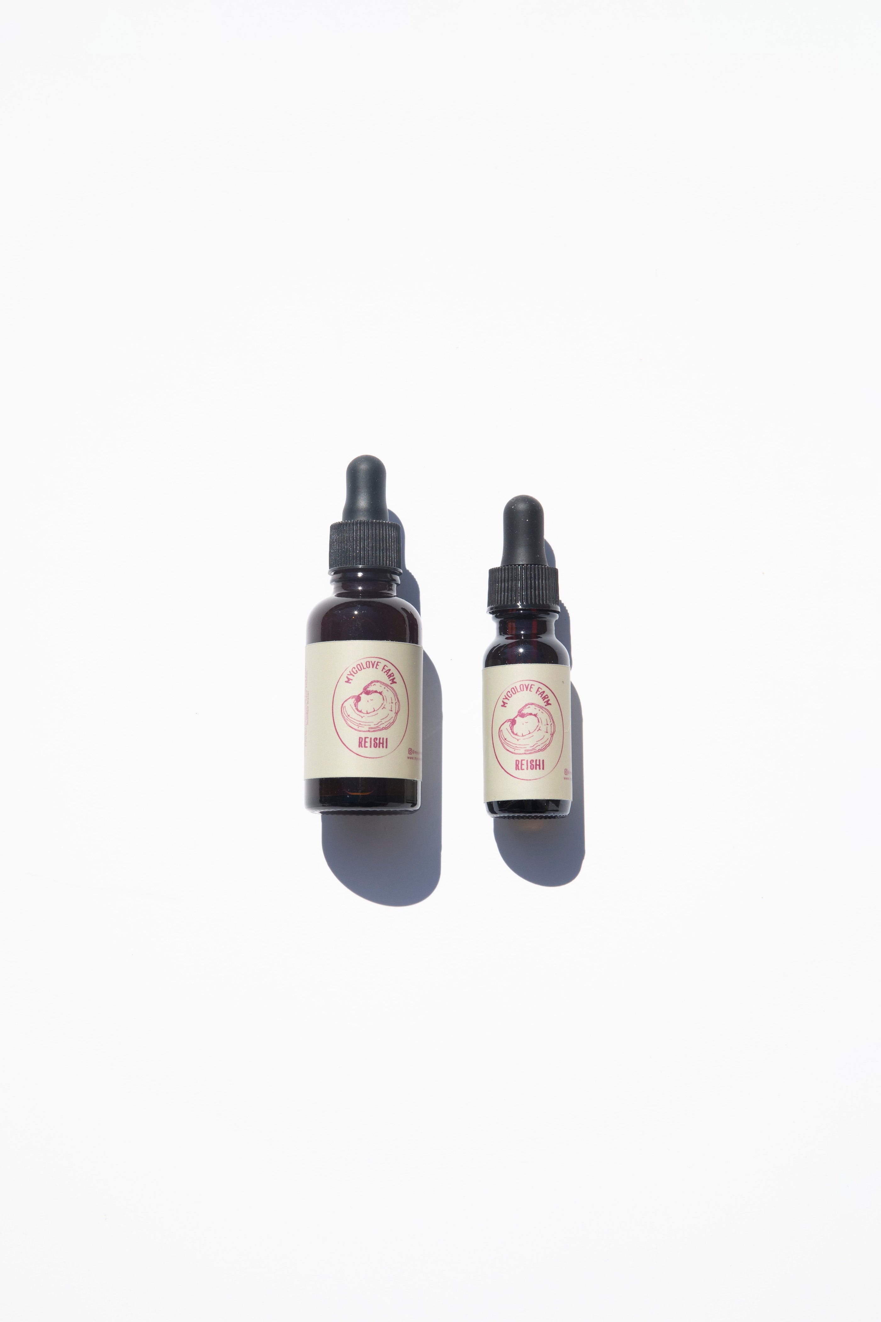 Two sizes of Reishi Mushroom Tincture