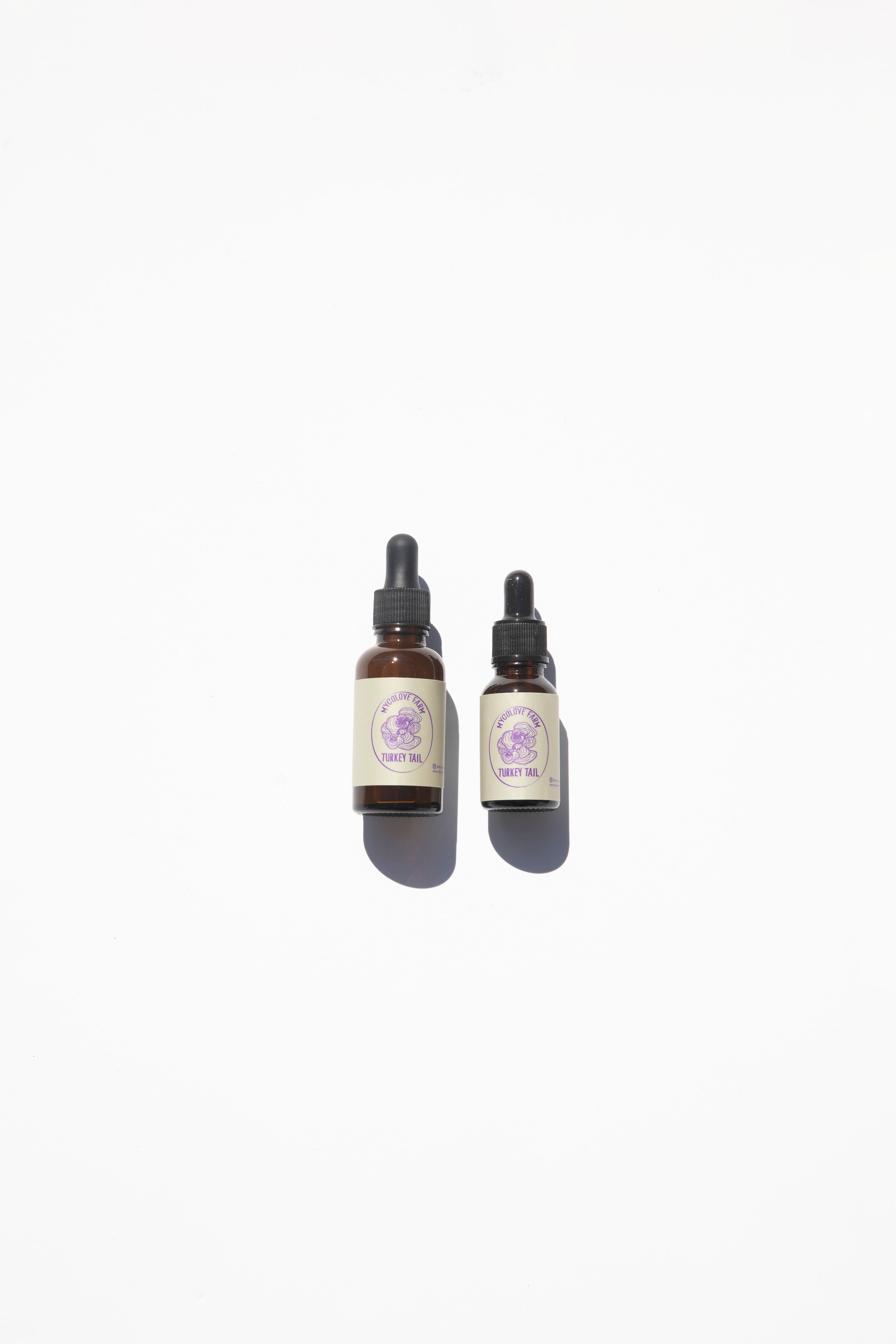 Mushroom Tinctures