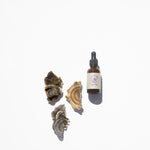 Turkey Tail Mushroom Blend