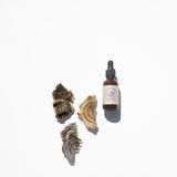 Turkey Tail Mushroom Blend