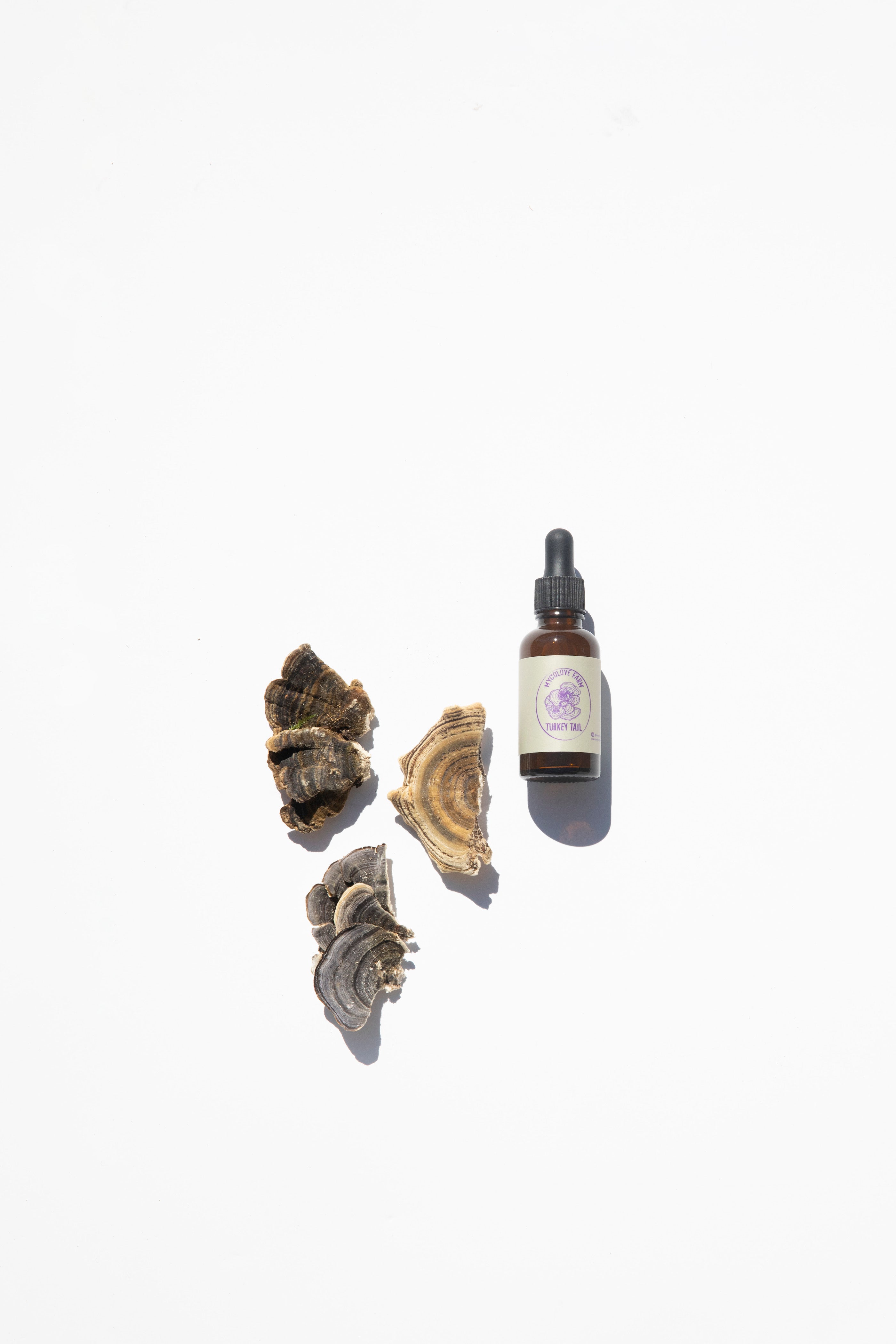 Turkey Tail Mushroom Blend