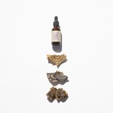 Turkey Tail Mushroom Tincture