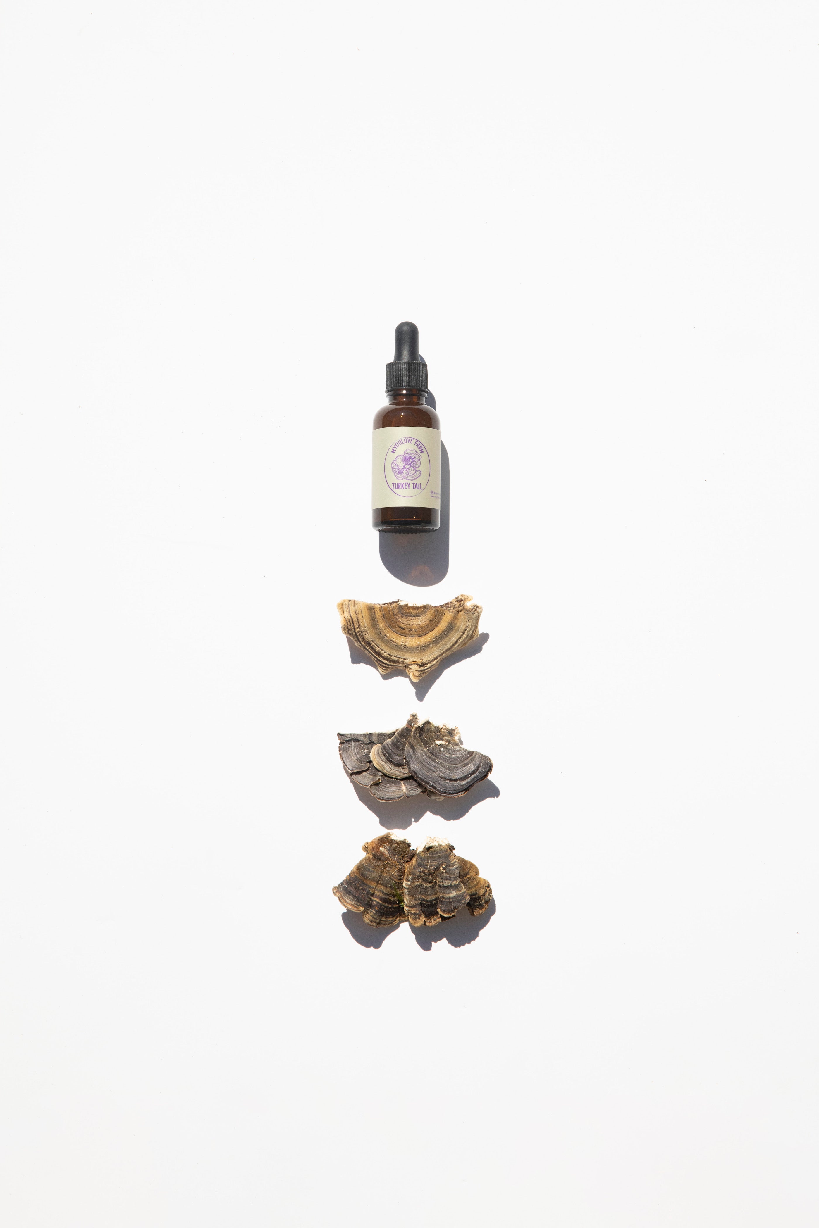 Turkey Tail Mushroom Tincture