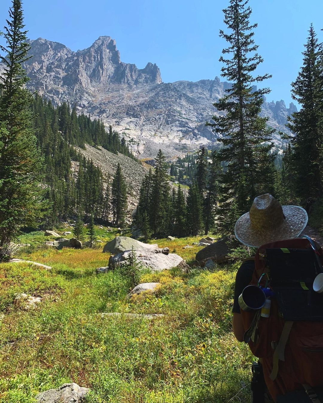 overlooking the canadian rockies (photo by Laura Schwisow)