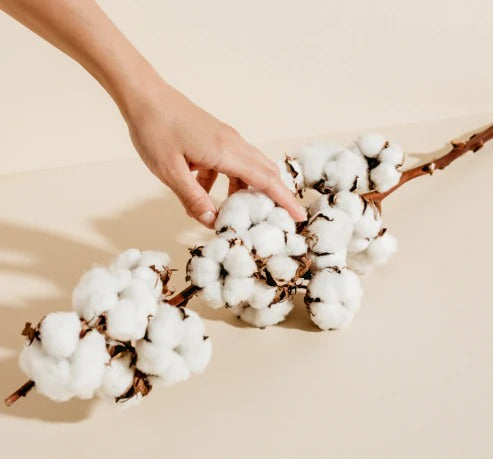 The Impacts of Fast Fashion