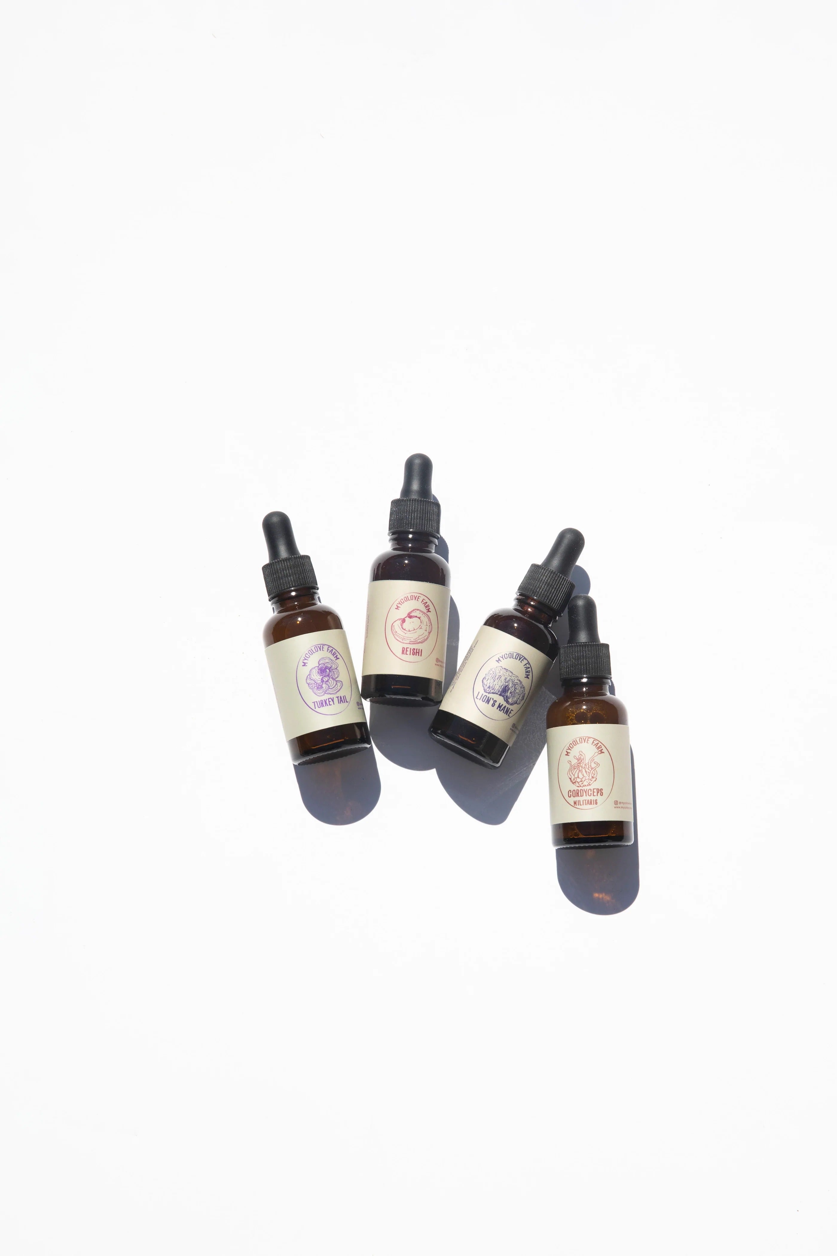 The Magic Of Medicinal Mushrooms At Mycolove Farms!