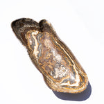 large onyx brown and white marbled bowl on a white background