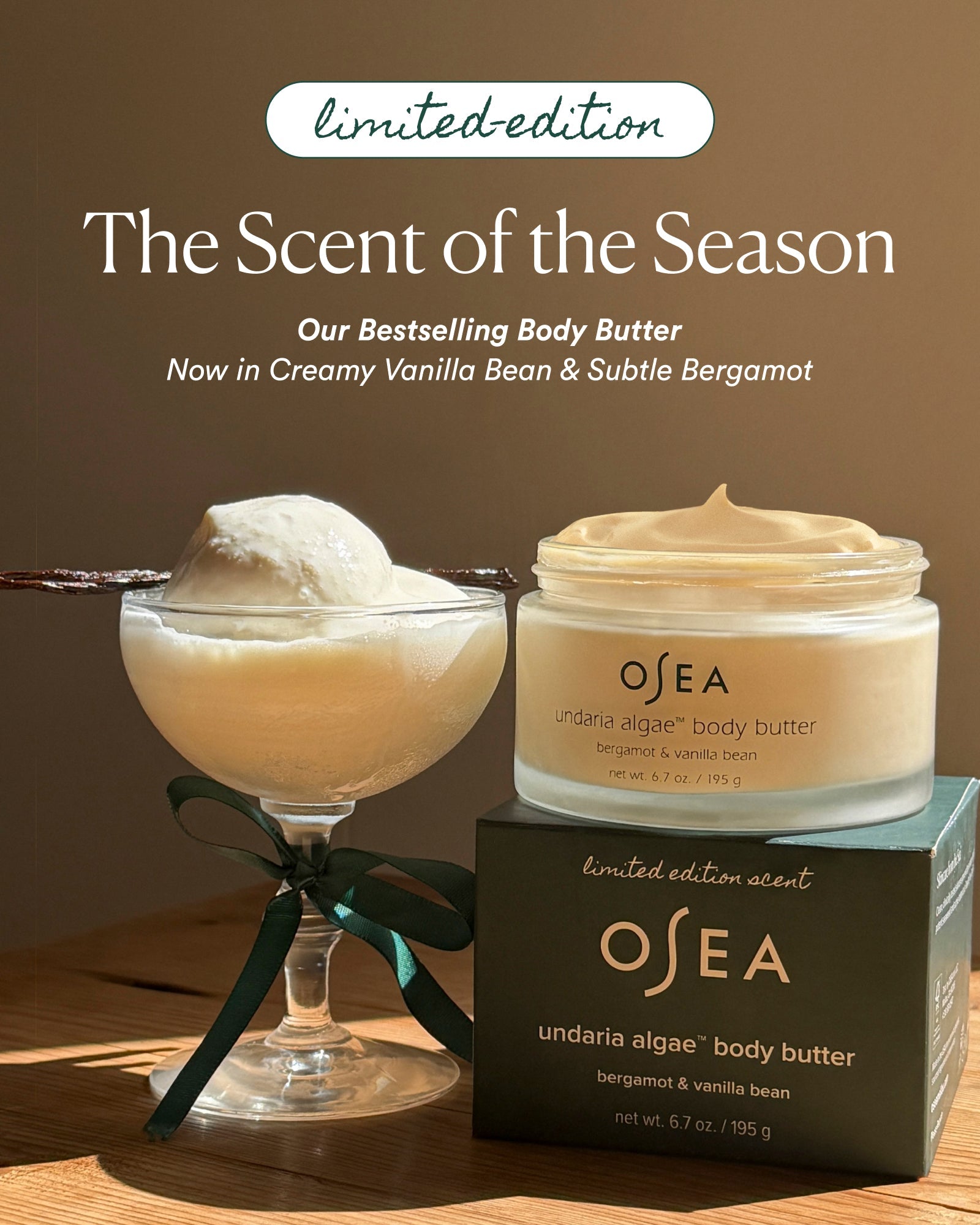 OSEA Undaria Algae Body Butter in Bergamot & Vanilla Bean, open jar on its limited edition box