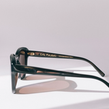 BQE Sunglasses in Owl