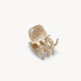 Mini Claw in Sand Shell