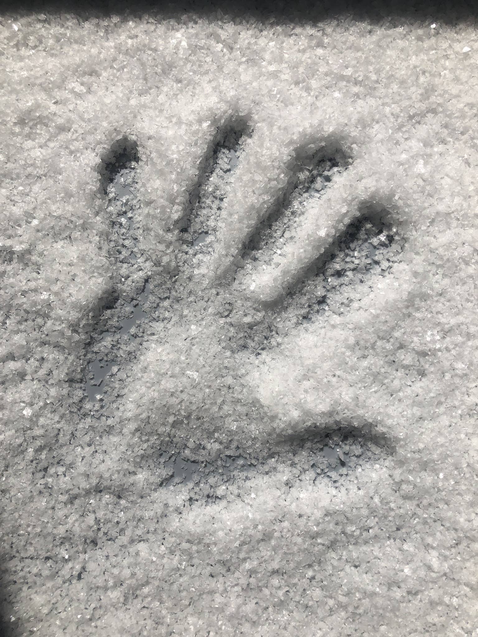 hand print in the flakey Norwegian sea salt