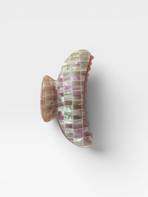 Brown Shell Checker