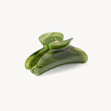 Grande Heirloom Claw in Algae