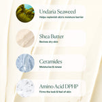 OSEA Undaria Algae Body Butter key ingredients over a cream texture background