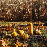 Pumpkin Beeswax Candle