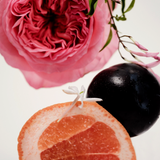 Maison Louis Marie No.14 Icila Hand Cream — scent notes ingredients still life