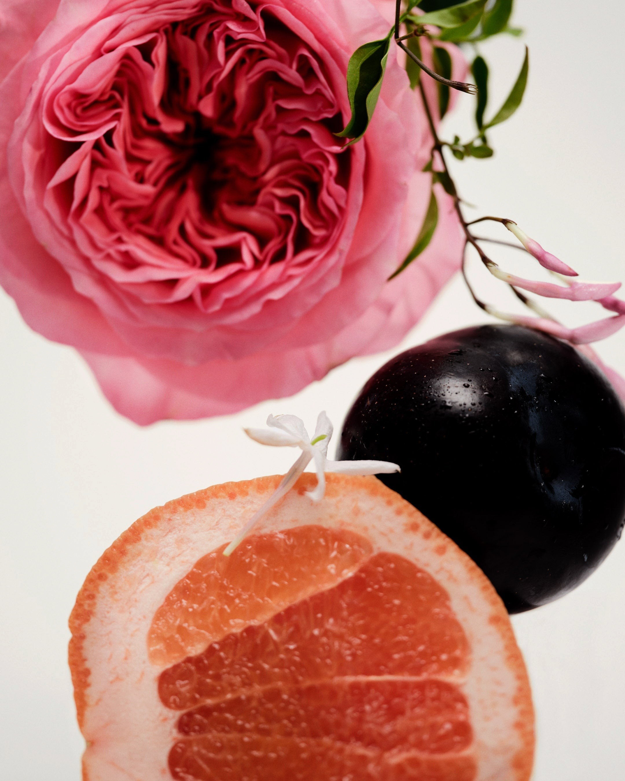 Maison Louis Marie No.14 Icila Hand Cream — scent notes ingredients still life