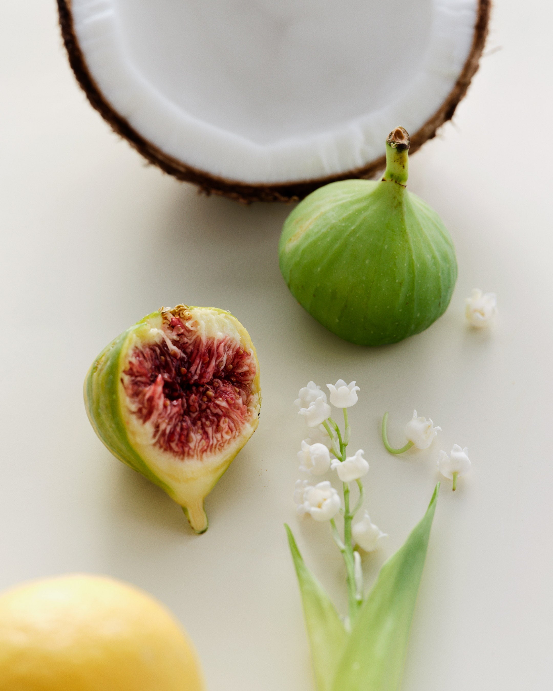 Maison Louis Marie No.13 Nouvelle Vague Hand Cream — scent notes ingredients still life