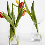 KINTO AQUA CULTURE Vase - Clear