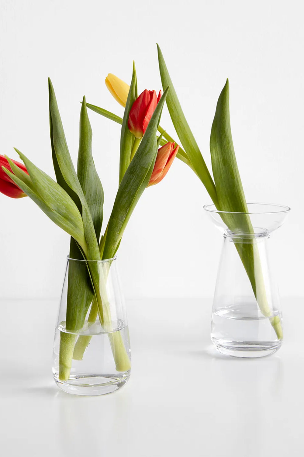 KINTO AQUA CULTURE Vase - Clear