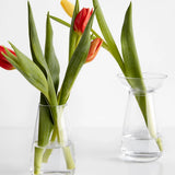 KINTO AQUA CULTURE Vase - Clear