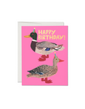 Quacky Birthday Card