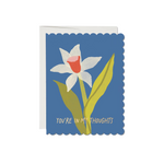 Scalloped Daffodil Sympathy Card