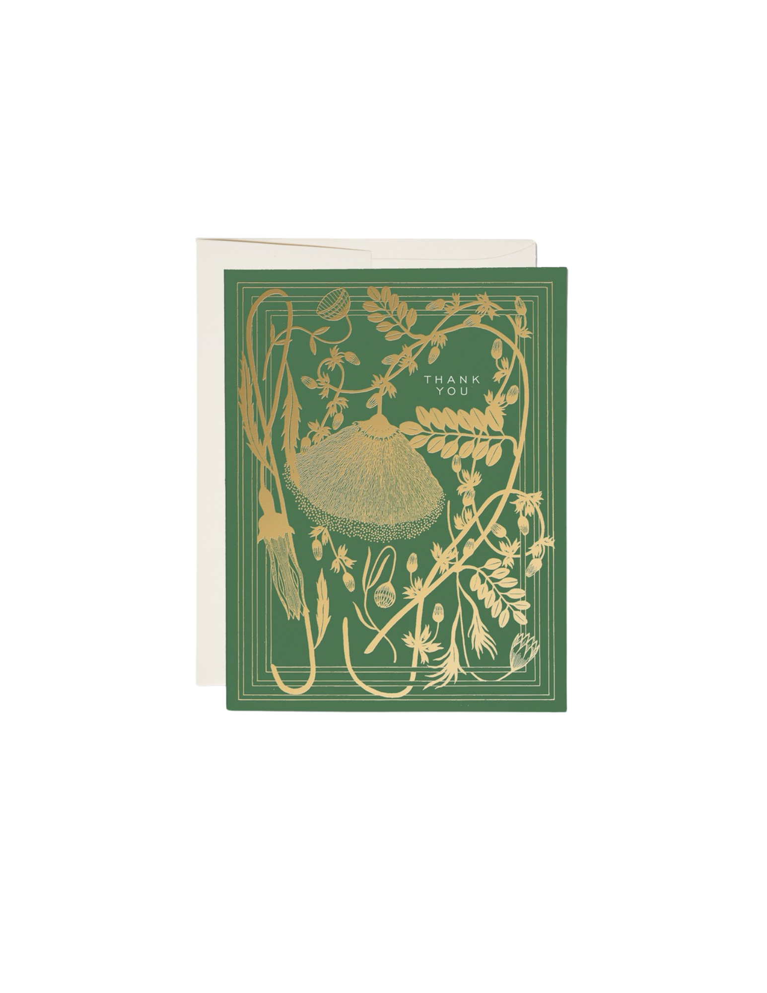 Thank You Card