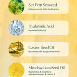 Hyaluronic Lip Booster