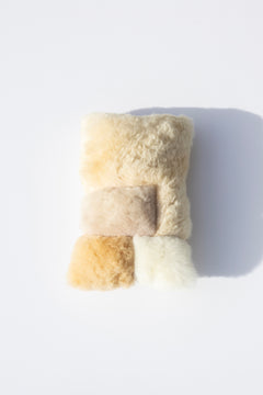 Alpaca Colorblock Lumbar Pillow