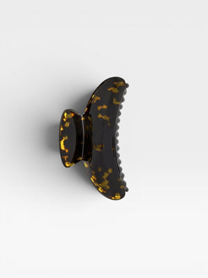 Dark Tortoise