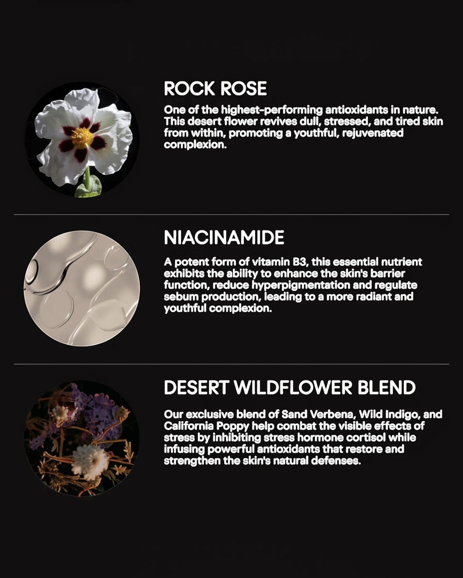 Rock Rose Active Serum — view 2