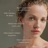 Moisture Rich Balm