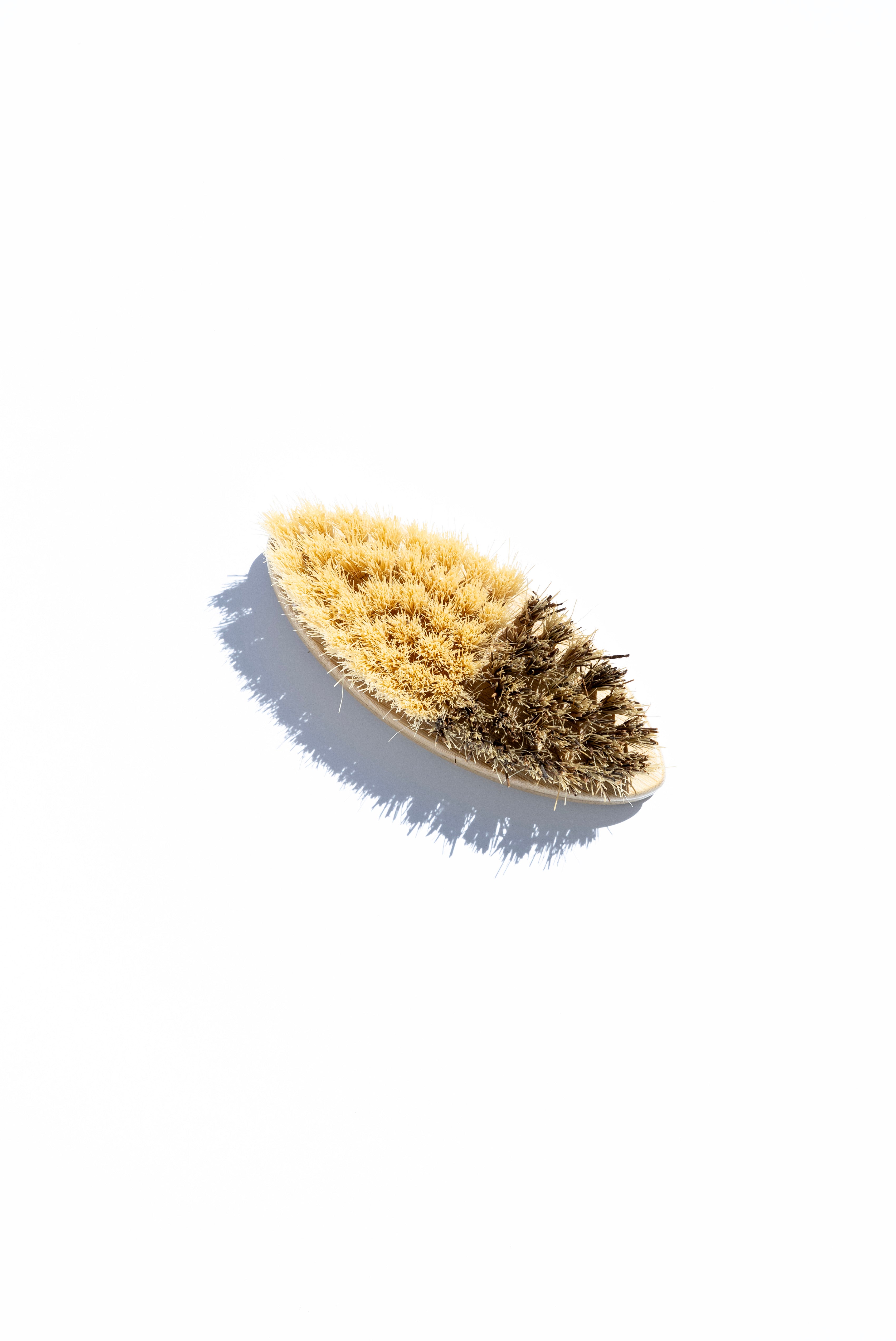 Dual Tone Vegatable Brush
