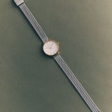 Beverly Mesh Watch - Silver
