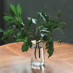 LUNA Vase - Clear — view 3