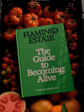 The Guide to Becoming Alive Book