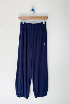 Navy blue pants hanging on a wooden hanger against a white background