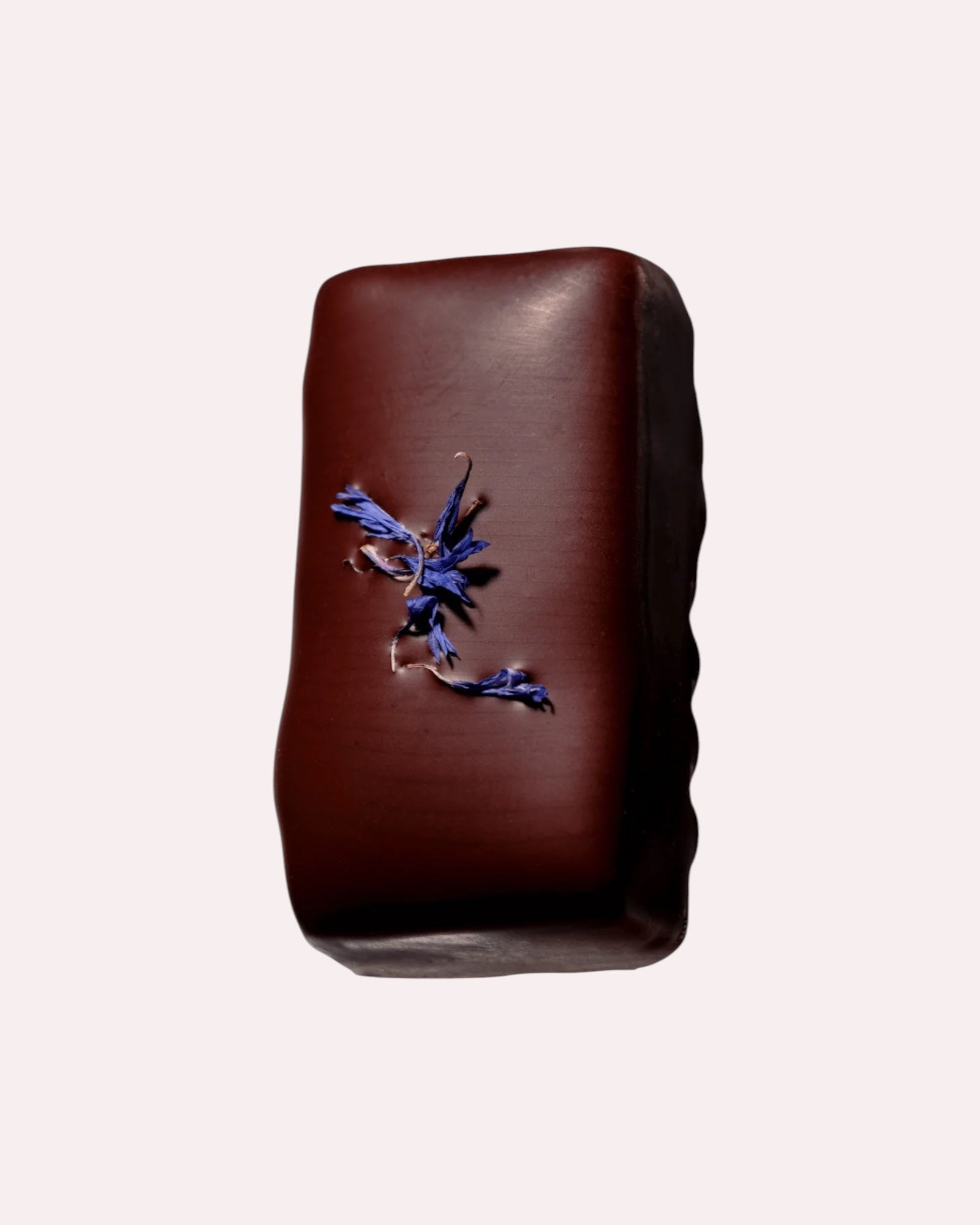 JONES + CO dark chocolate bar with almond caramel, tamari almonds, astragalus, and blue cornflower garnish.