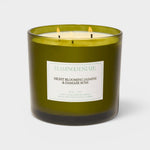 JONES + CO XL scented candle in a green glass jar with Night Blooming Jasmine and Damask Rose fragrance notes.