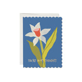 JONES + CO scalloped sympathy card featuring a white daffodil illustration on blue background with text