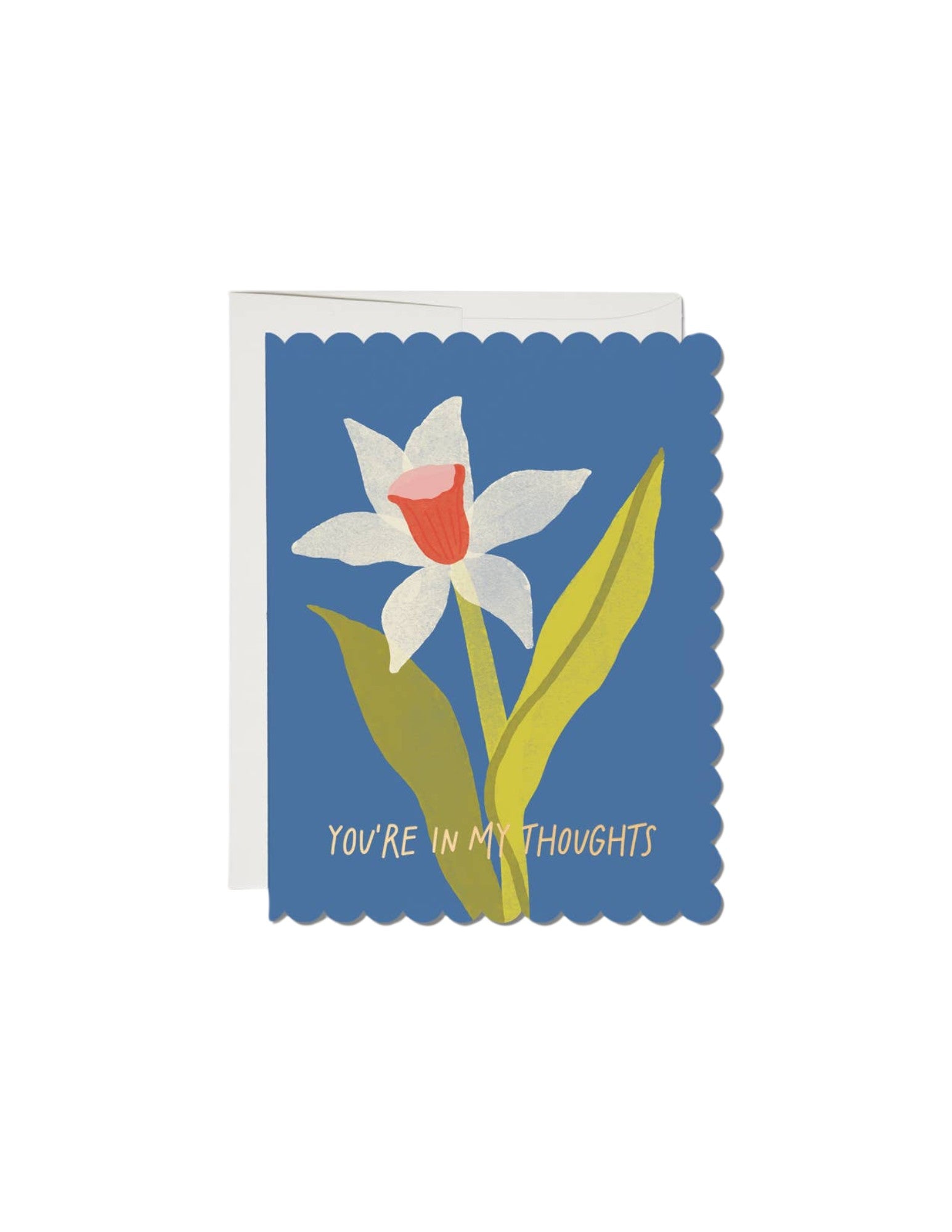 JONES + CO scalloped sympathy card featuring a white daffodil illustration on blue background with text